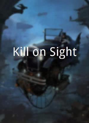 Kill on Sight海报封面图