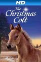 Chase Wright The Christmas Colt