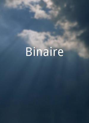 Binaire海报封面图