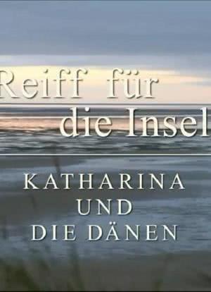 Reiff für die Insel - Katharina und die Dänen海报封面图