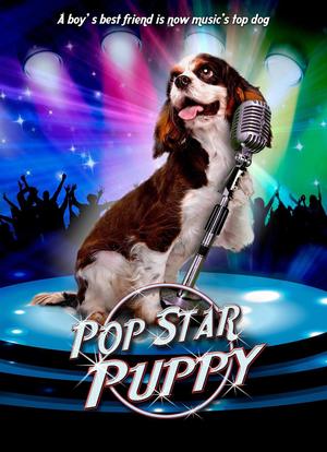 Pop Star Puppy海报封面图