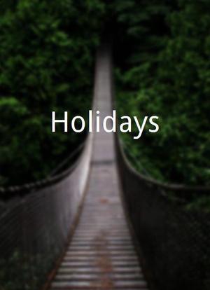 Holidays海报封面图