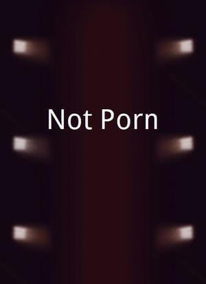Not Porn海报封面图