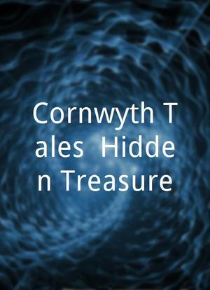 Cornwyth Tales: Hidden Treasure海报封面图