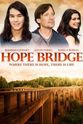 Brad Wise Hope Bridge