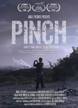 Pinch海报封面图