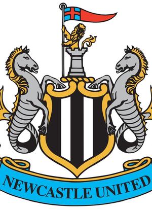 Newcastle United Season Review 2012-2013海报封面图