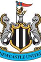 索拉·阿梅奥比 Newcastle United Season Review 2012-2013