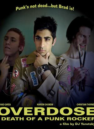 Overdose: Death of a Punk Rocker海报封面图