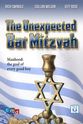 Lynda Stein The Unexpected Bar Mitzvah