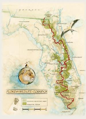 Florida Wildlife Corridor Expedition海报封面图