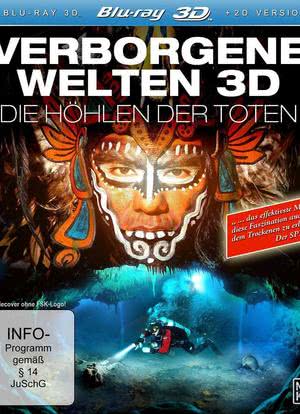 隐秘世界 3D：死亡洞穴海报封面图