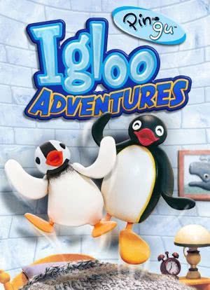 Pingu: Igloo Adventures海报封面图
