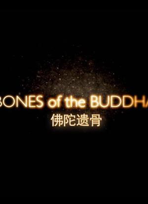 Bones of the Buddha海报封面图