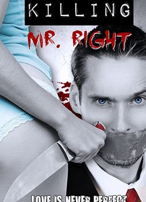 Killing Mr. Right海报封面图