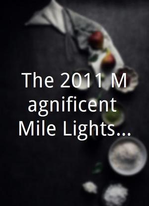 The 2011 Magnificent Mile Lights Festival海报封面图