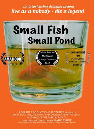 Small Fish Small Pond海报封面图