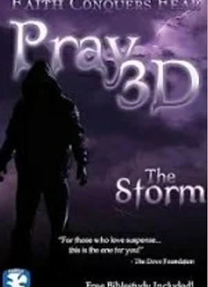 Pray 3D: The Storm海报封面图
