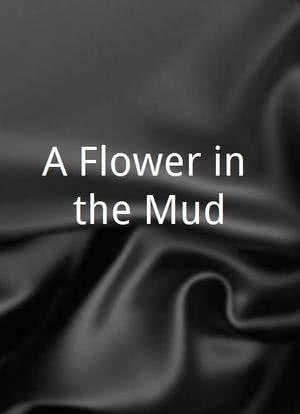 A Flower in the Mud海报封面图