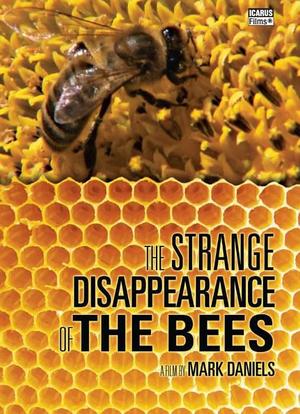 蜜蜂的消失之谜海报封面图
