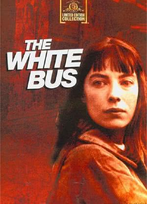 白色巴士海报封面图