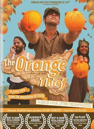 偷橘子的人海报封面图
