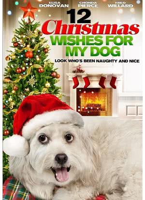 12 Christmas Wishes for My Dog海报封面图