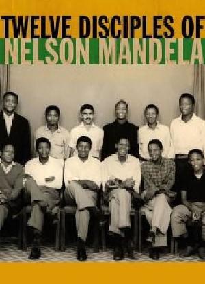 Twelve Disciples of Nelson Mandela海报封面图