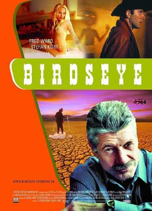 Birdseye海报封面图