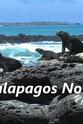 Colin Platt Galapagos Now!