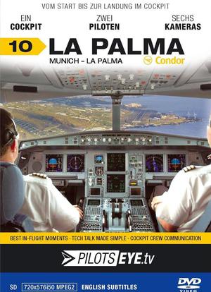 飞行员之眼：帕尔马海报封面图
