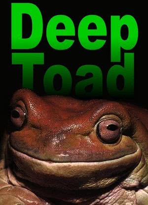 Deep Toad海报封面图