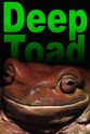 Phil Doughty Deep Toad