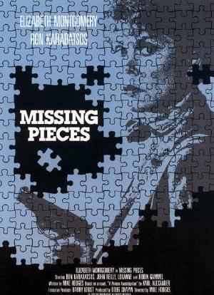 Missing Pieces海报封面图