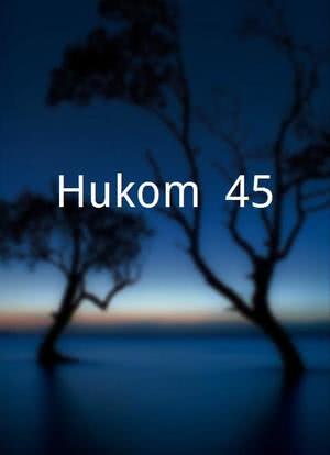 Hukom .45海报封面图