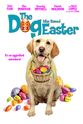 Marty Carlin The Dog Who Saved Easter