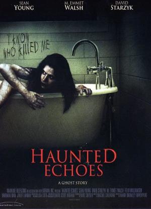 Haunted Echoes (2008)海报封面图
