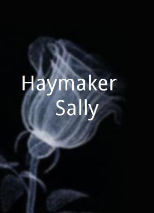 Haymaker & Sally海报封面图
