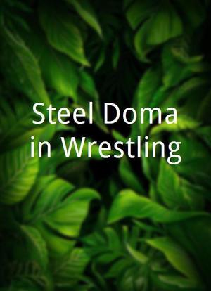 Steel Domain Wrestling海报封面图