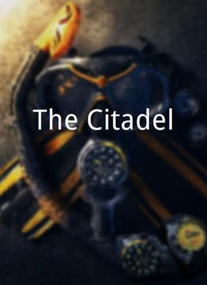 The Citadel海报封面图