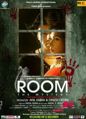 Room: The Mystery海报封面图