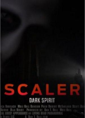 斯科勒，黑暗的灵魂海报封面图
