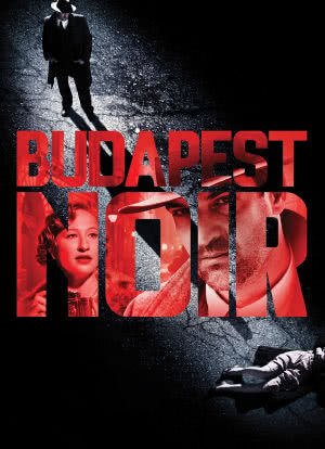 黑色布达佩斯海报封面图