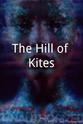 Ali Delgoshaee The Hill of Kites