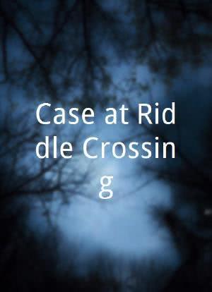 Case at Riddle Crossing海报封面图
