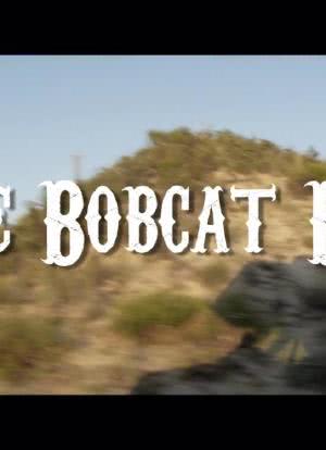 The Bobcat Boys海报封面图