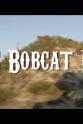 劳伦·格罗斯 The Bobcat Boys