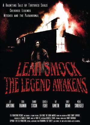 Leah Smock, the Legend Awakens海报封面图