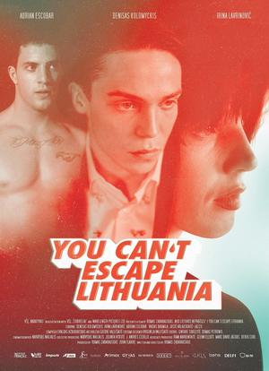 爱与恨的立陶宛海报封面图