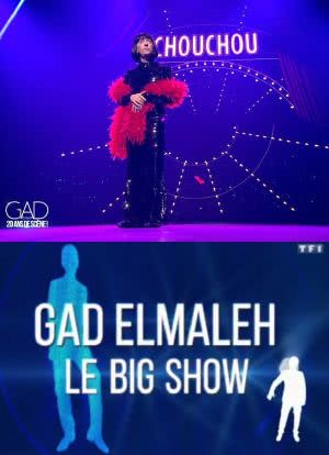 Gad Elmaleh: Le big show海报封面图